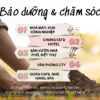 Bảo Dưỡng Và Chăm Sóc