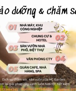 Bảo Dưỡng Và Chăm Sóc